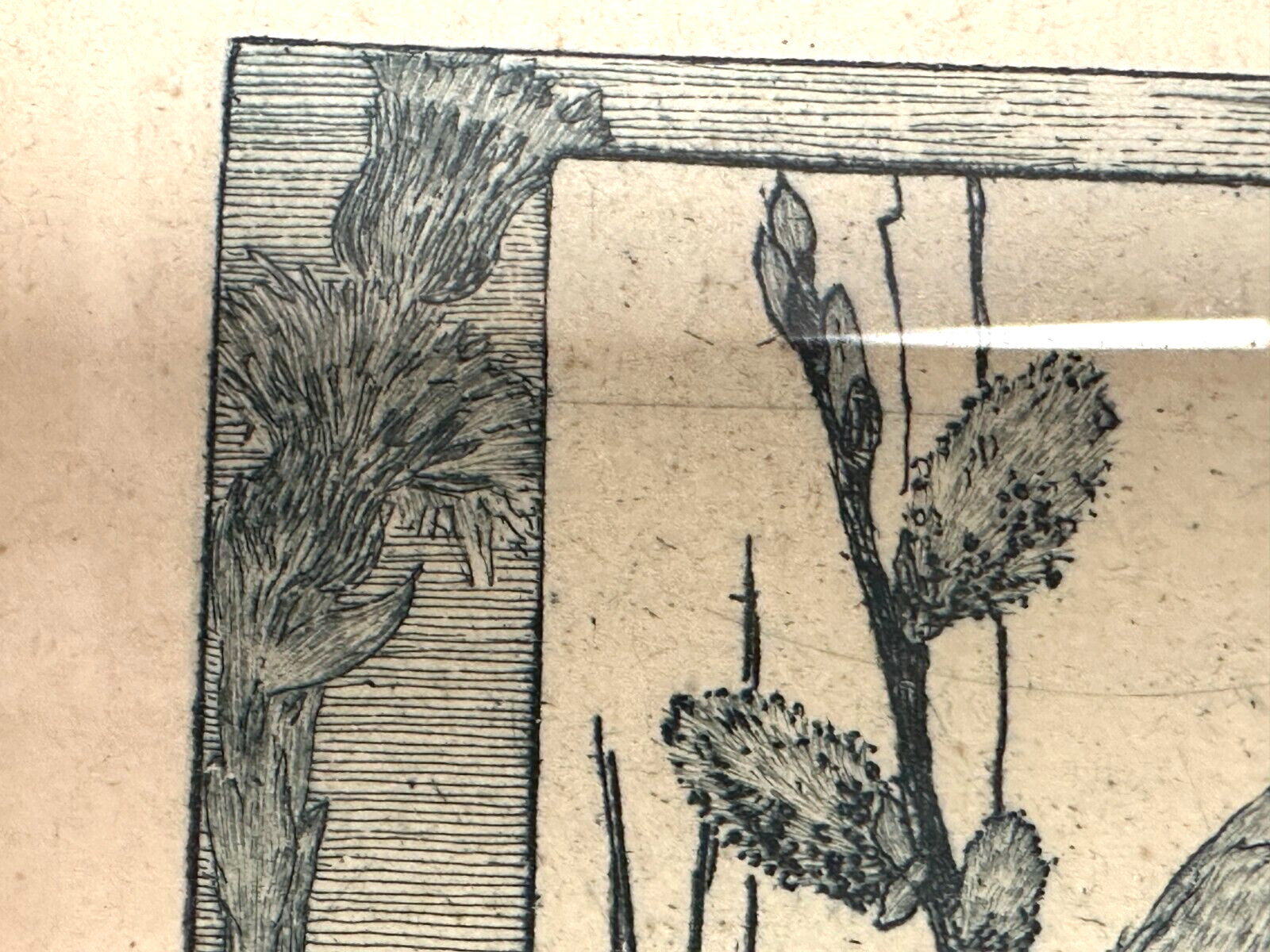 Heinrich Vogeler 1872-1942 - Radierung - Froschbraut - 1899 Jugendstil - gerahmt12