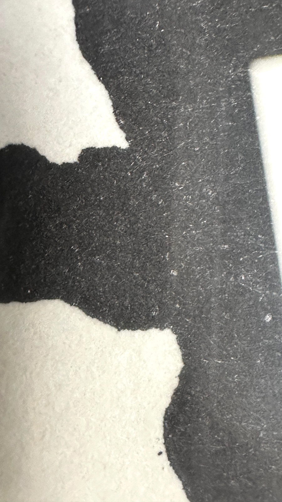 Abi Shek – Linolschnitt - „Delfine/Wale“ - signiert & nummeriert 49/55, gerahmt7