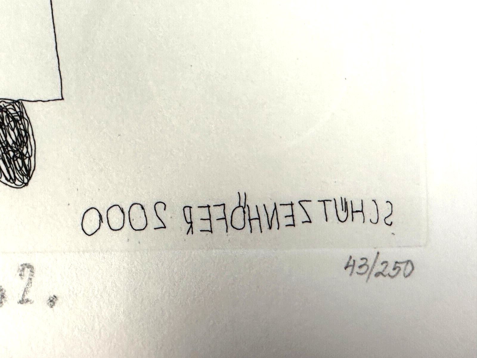 45858703