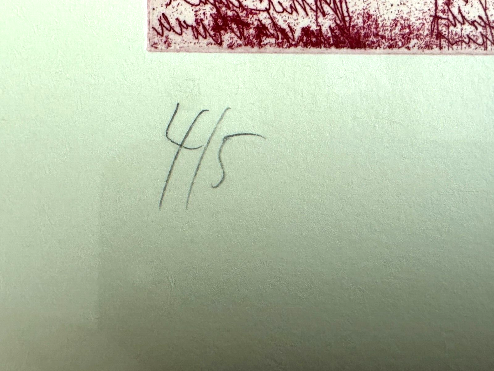 45858821