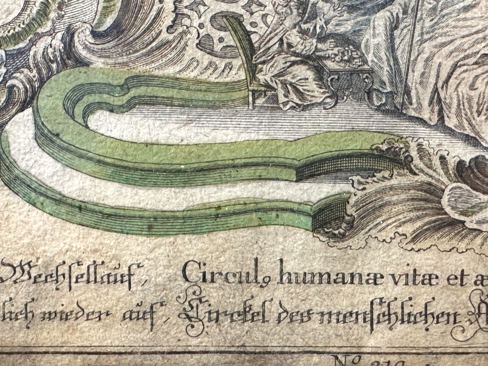 45858324