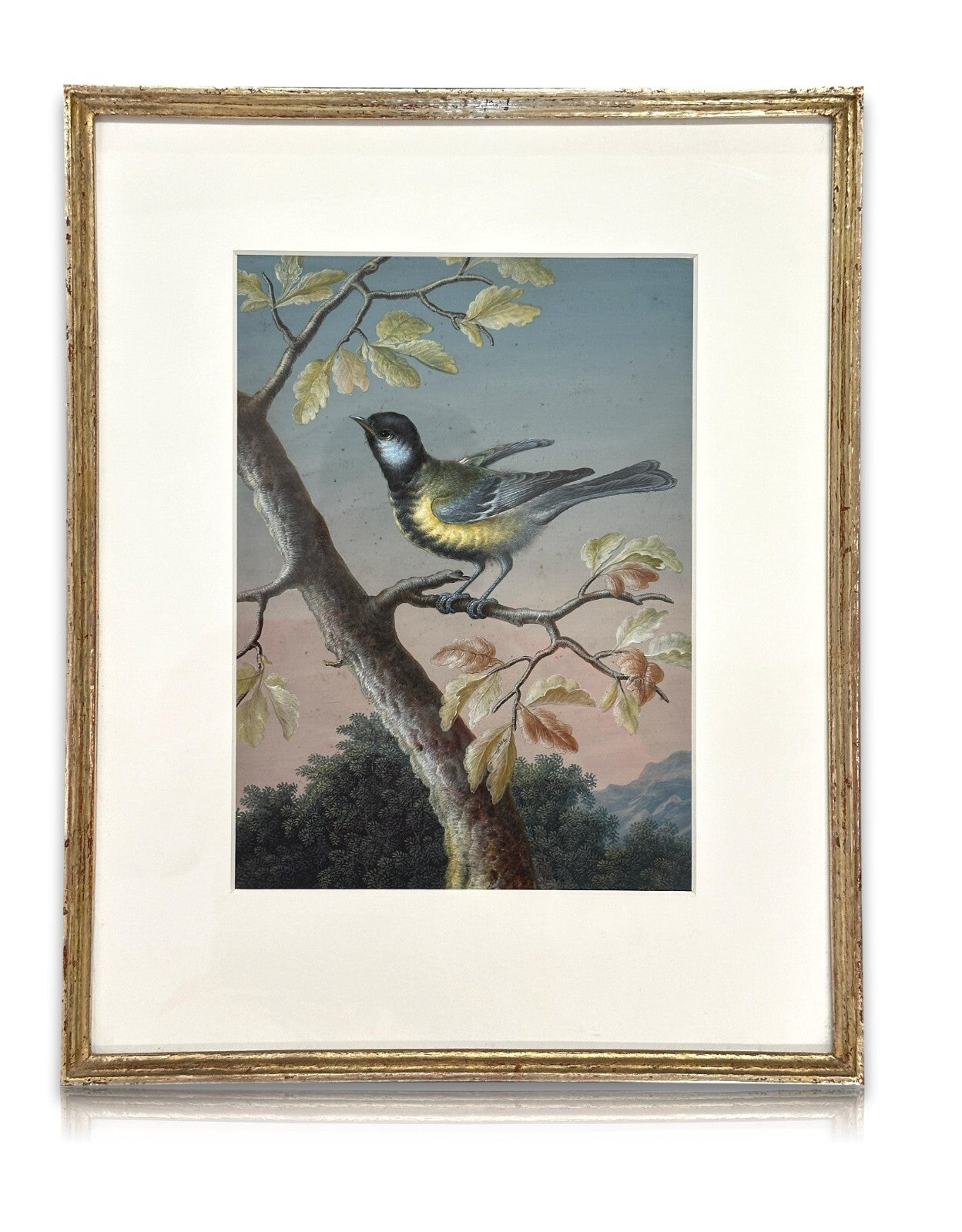 Christoph Ludwig Agricola 1665-1724 - Singvogel auf Ast - Gouache auf Pergament0