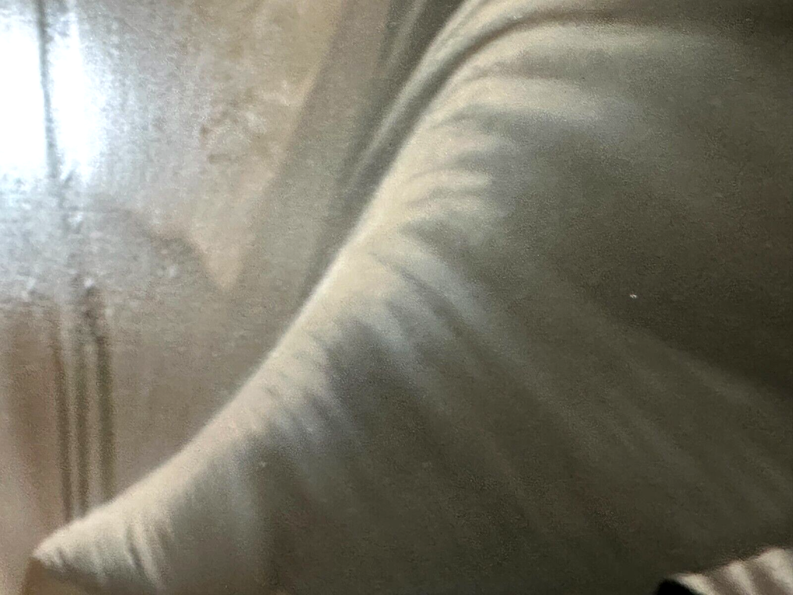 45858430