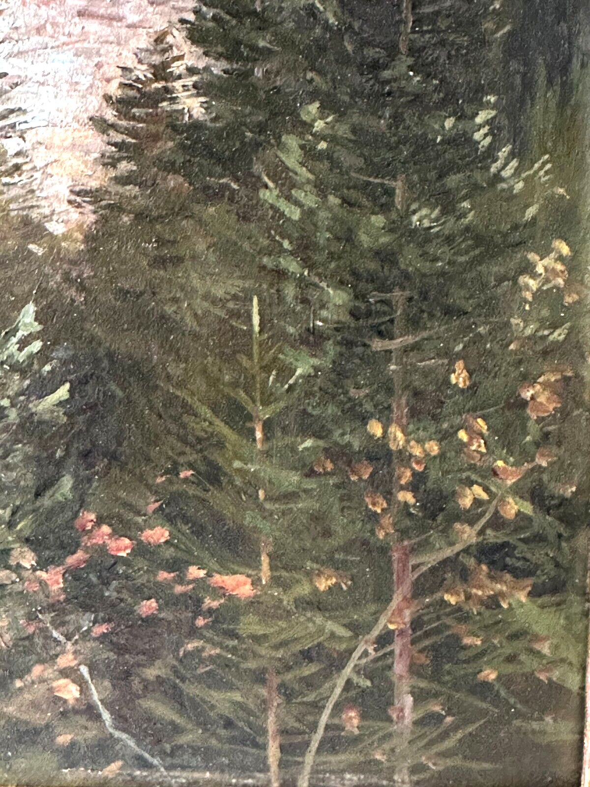 45858715