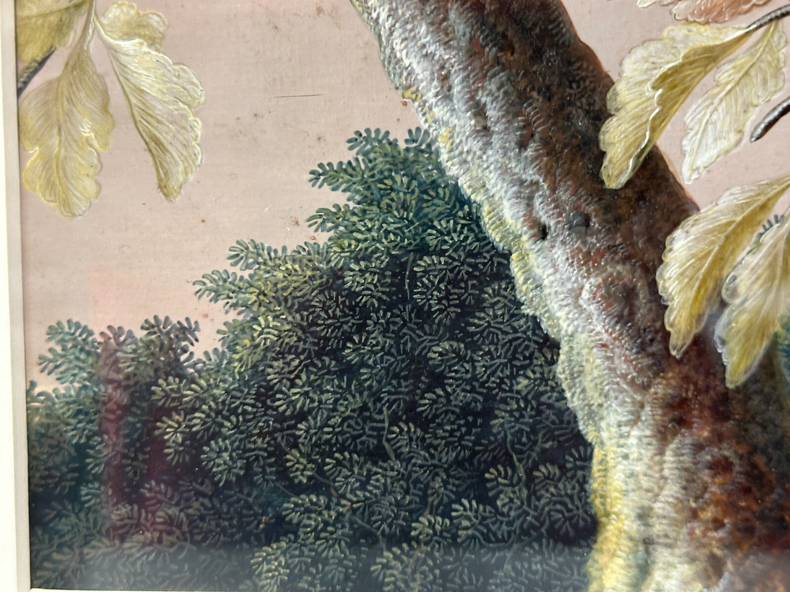 Christoph Ludwig Agricola 1665-1724 - Singvogel auf Ast - Gouache auf Pergament4
