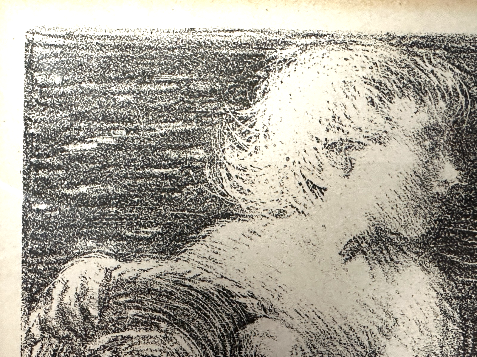 Charles Haslewood Shannon - Lithografie - „An Intruder“ - um 1900 - gerahmt5