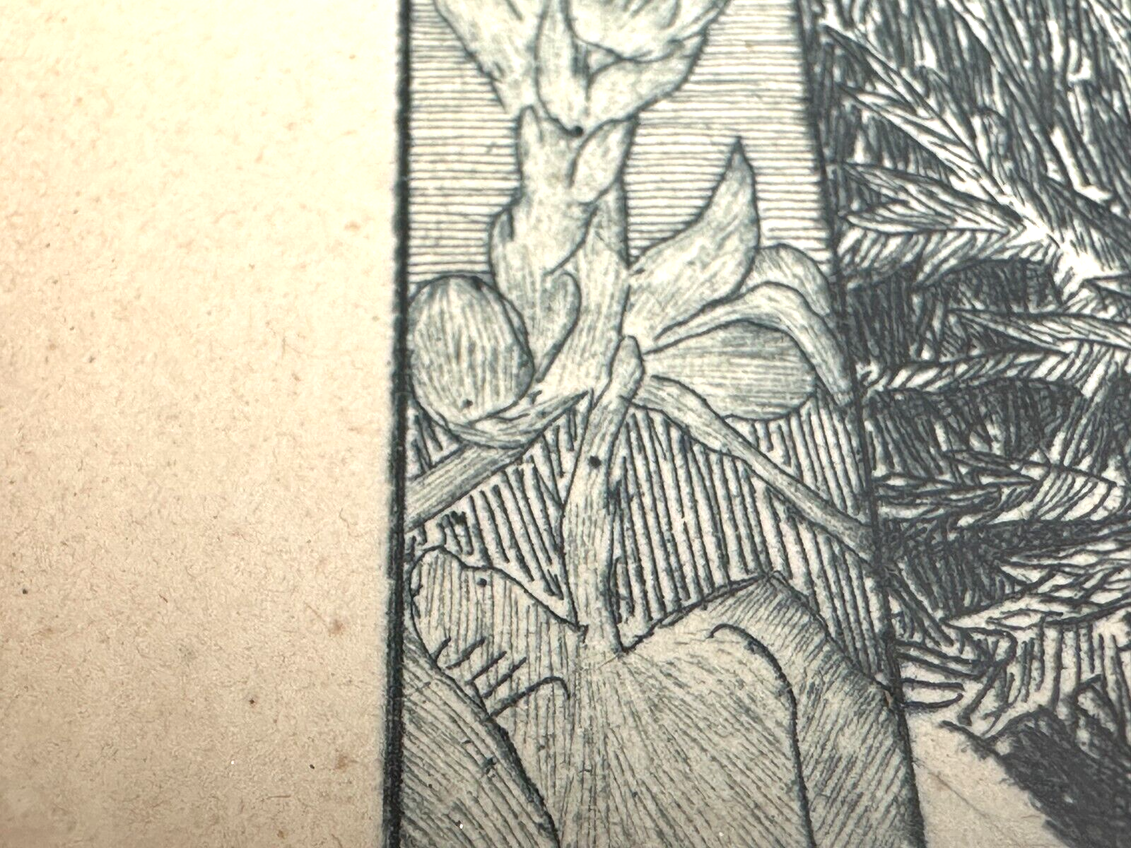 Heinrich Vogeler 1872-1942 - Radierung - Froschbraut - 1899 Jugendstil - gerahmt13