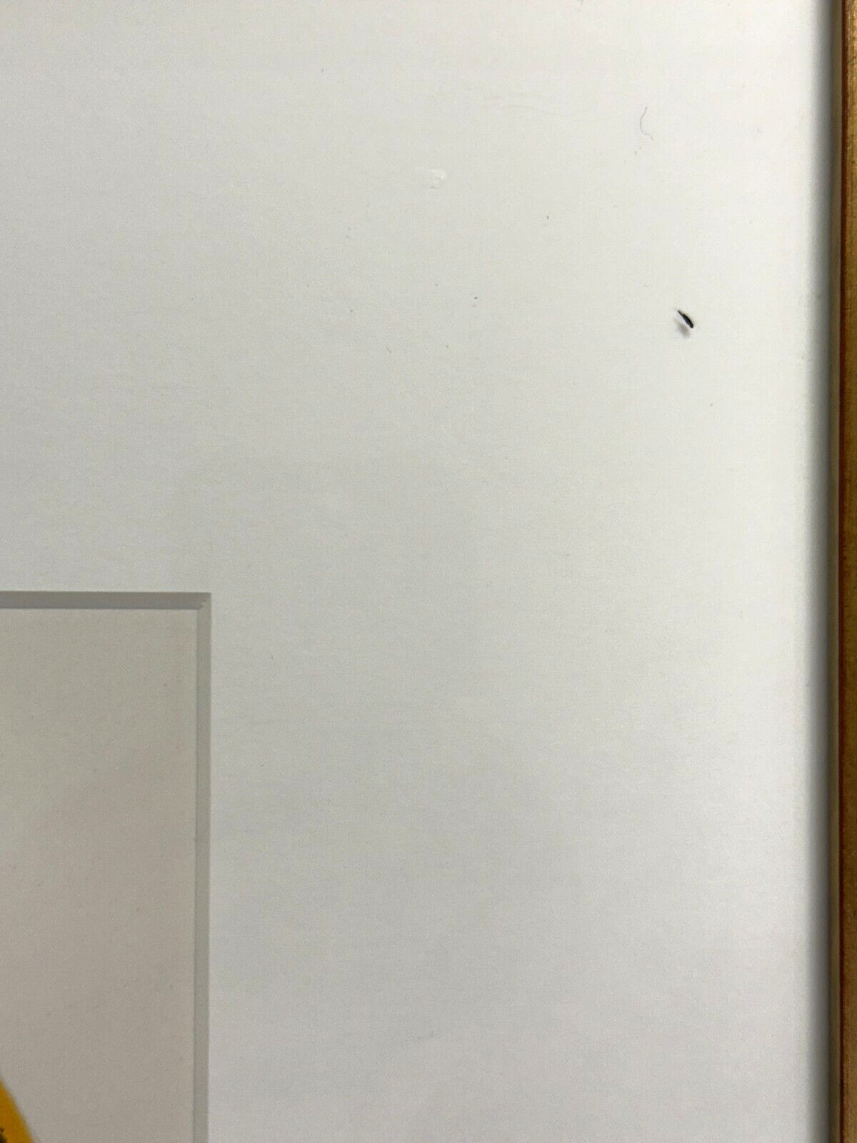 45858371