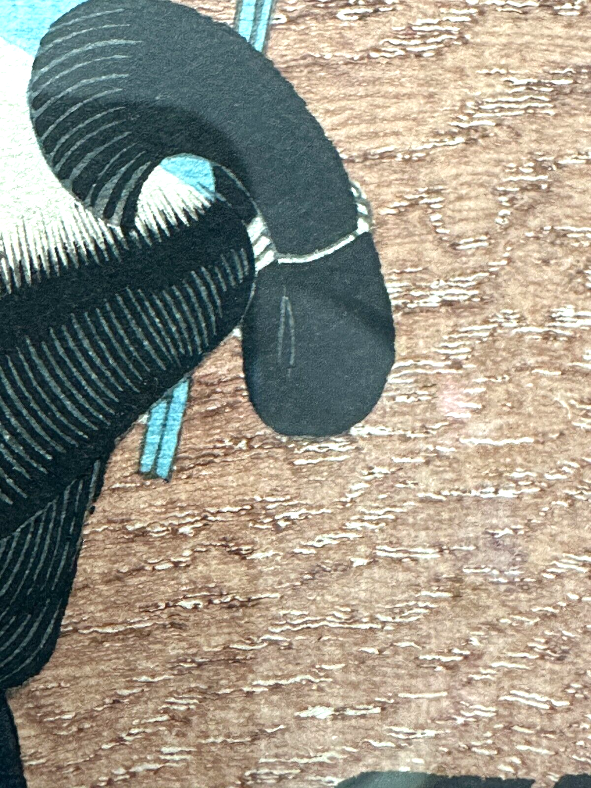 45858866