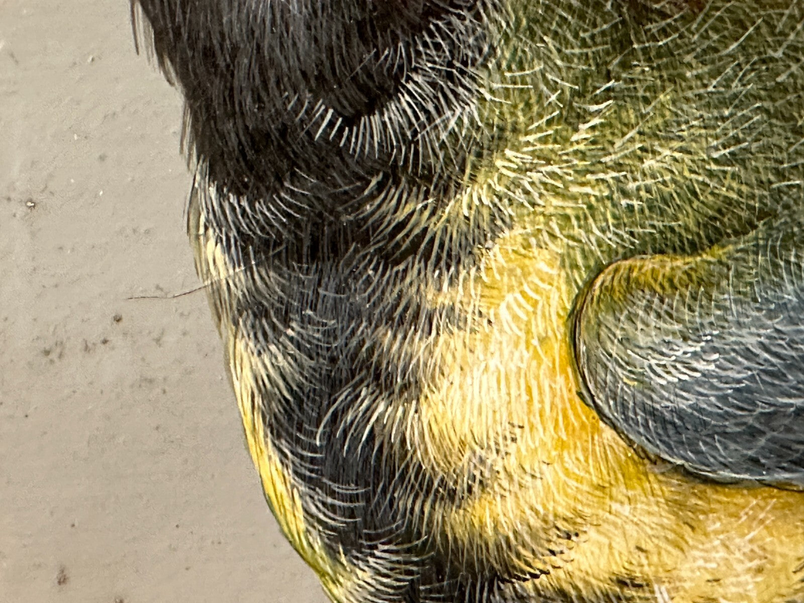 45858932