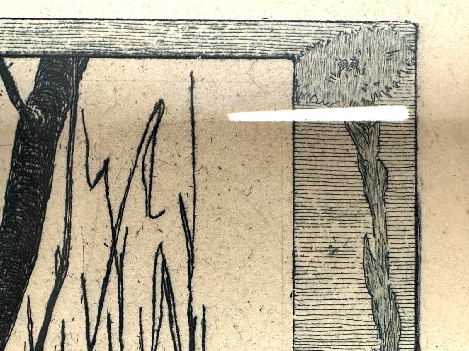 Heinrich Vogeler 1872-1942 - Radierung - Froschbraut - 1899 Jugendstil - gerahmt4
