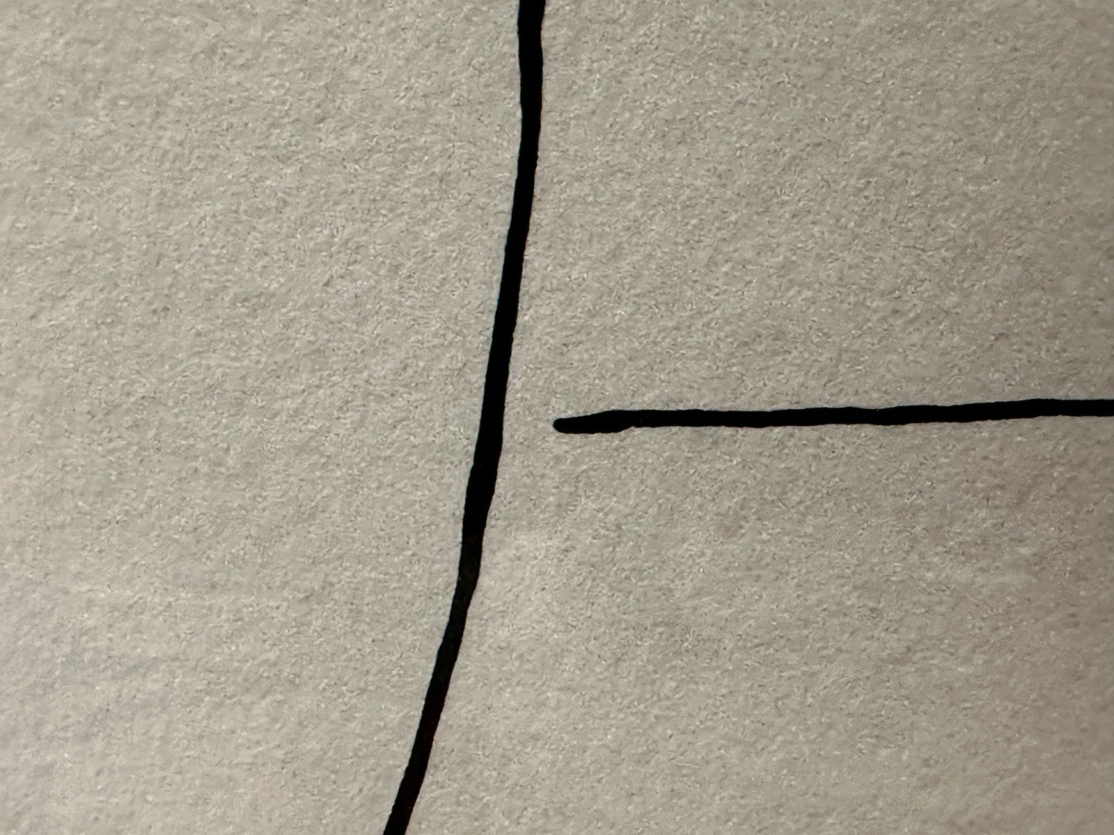 Pablo Picasso (1881–1973) – Lithografie „Eule“ - nummeriert 753/882 - gerahmt6