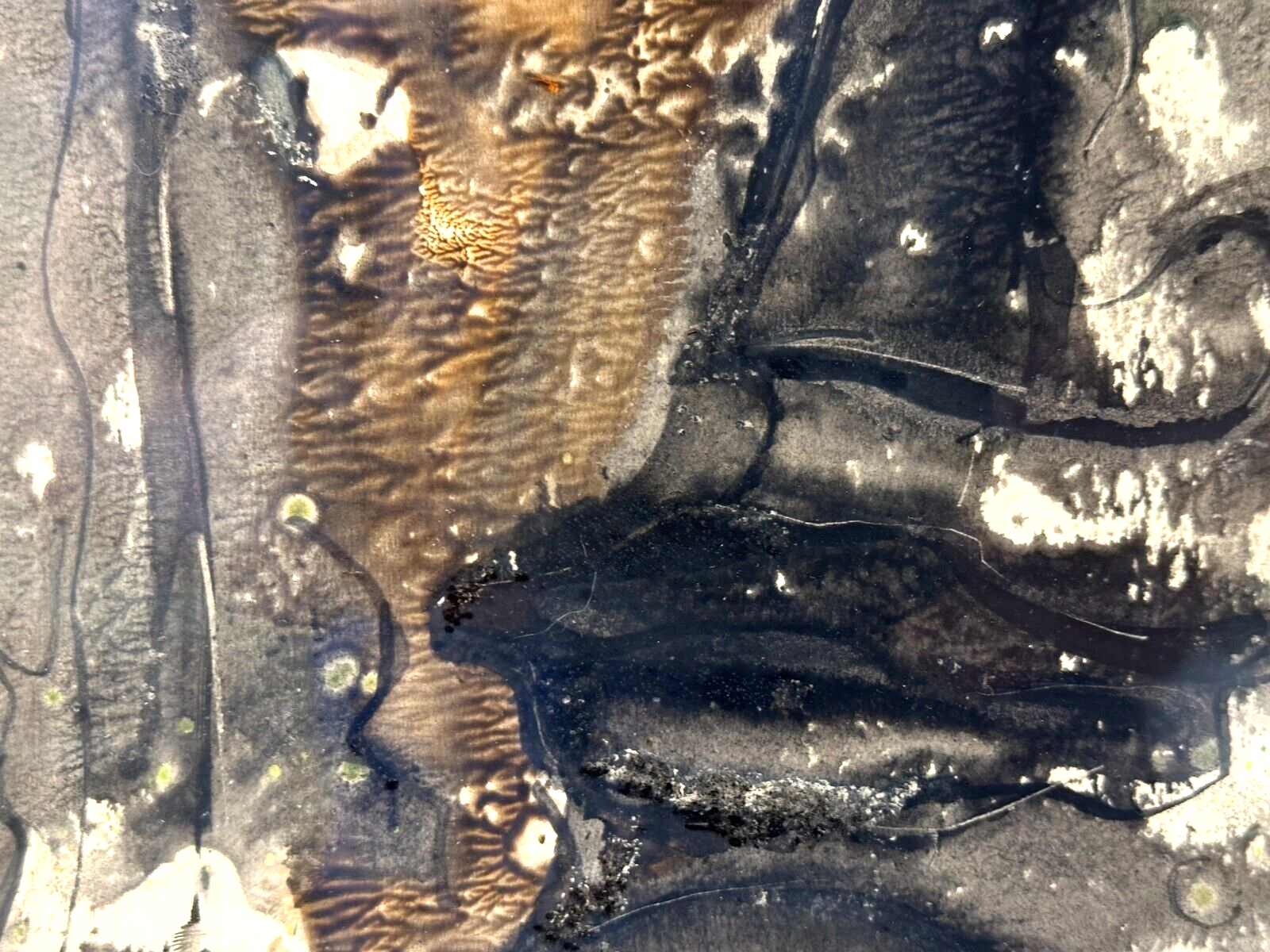 45858156