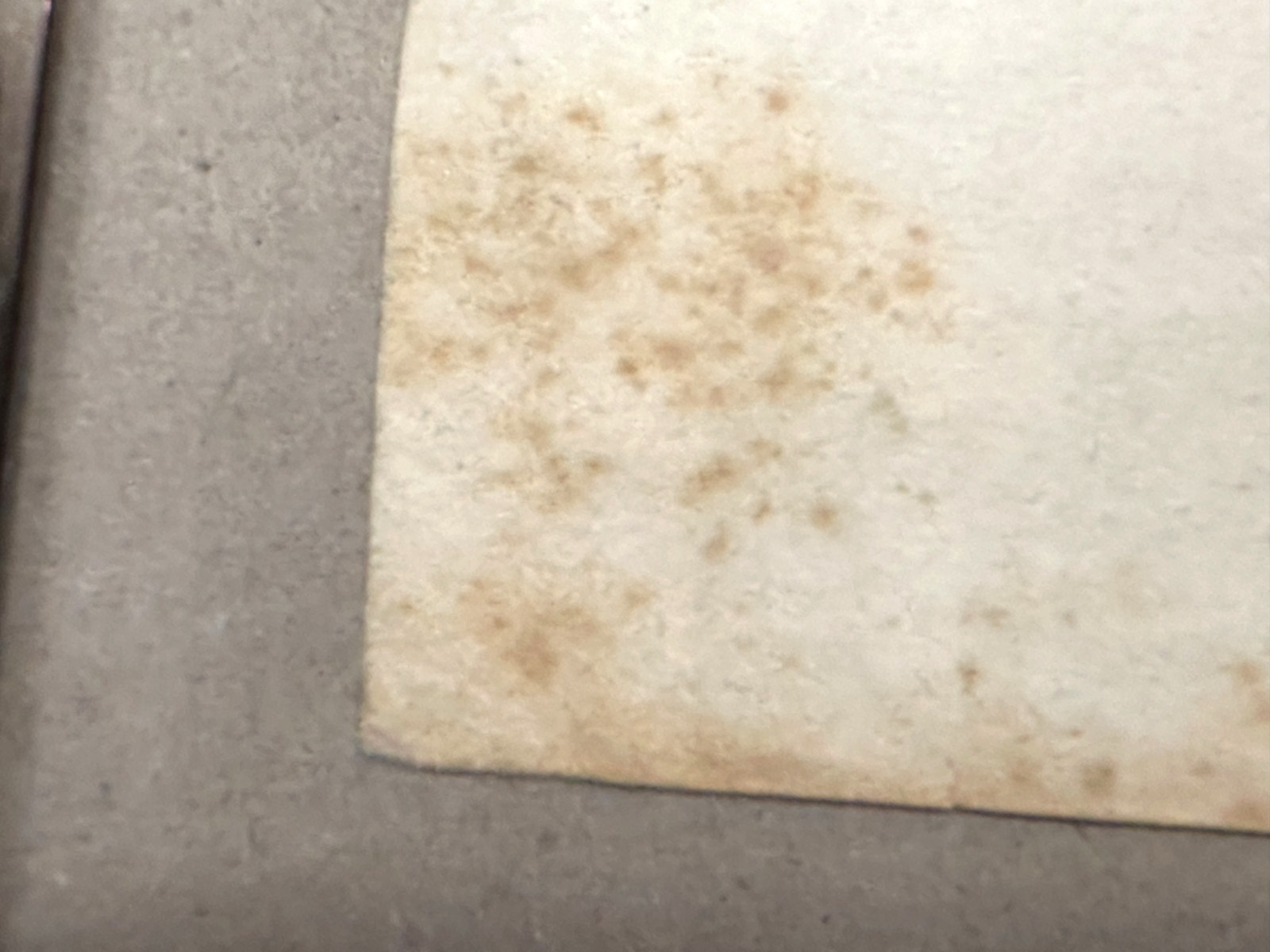 45858259