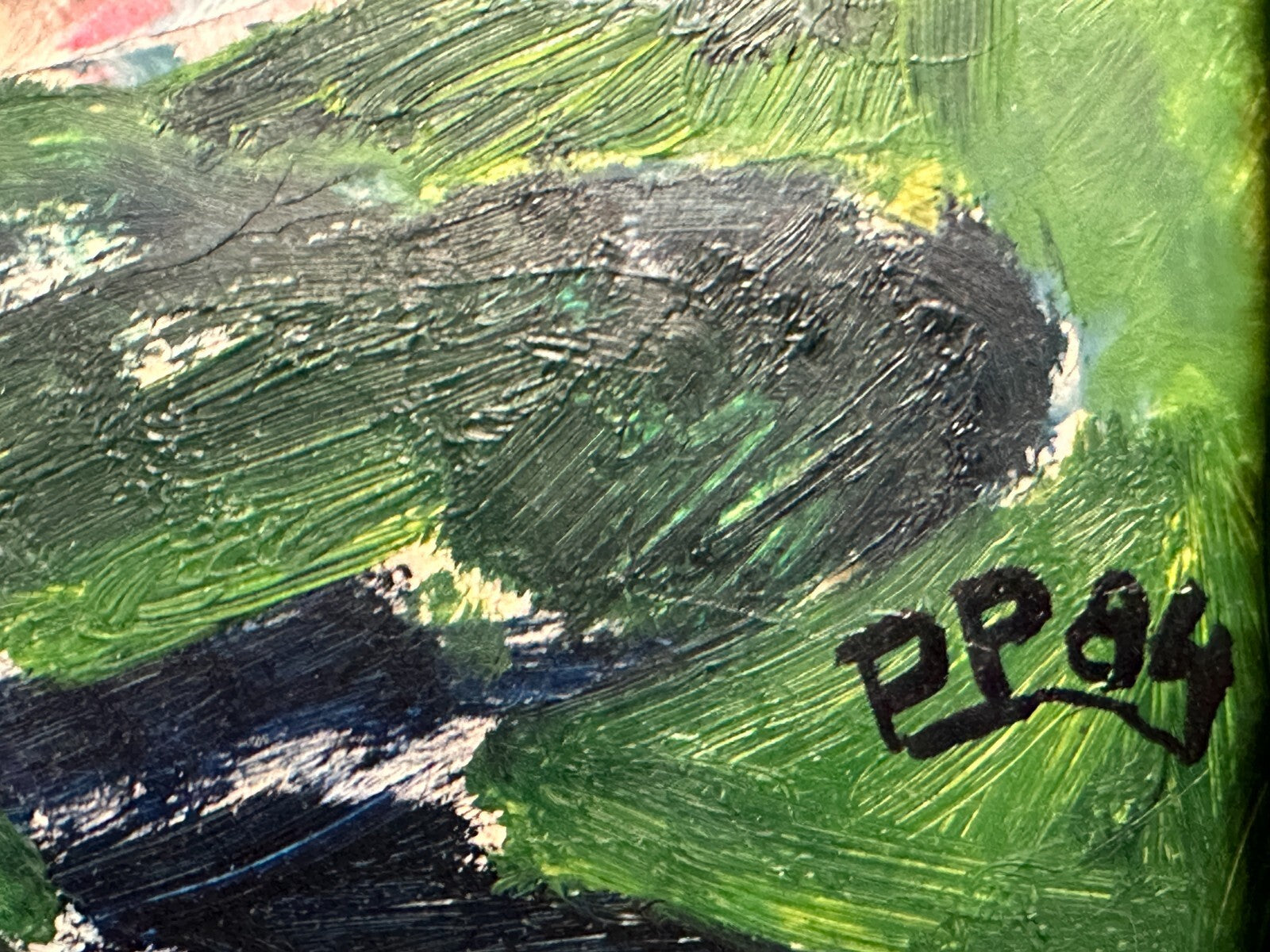 45858872