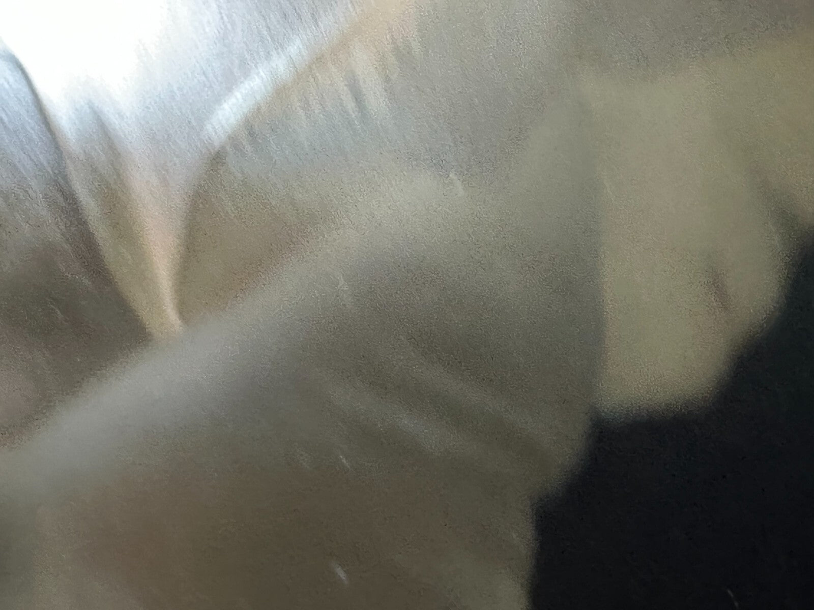 45858430