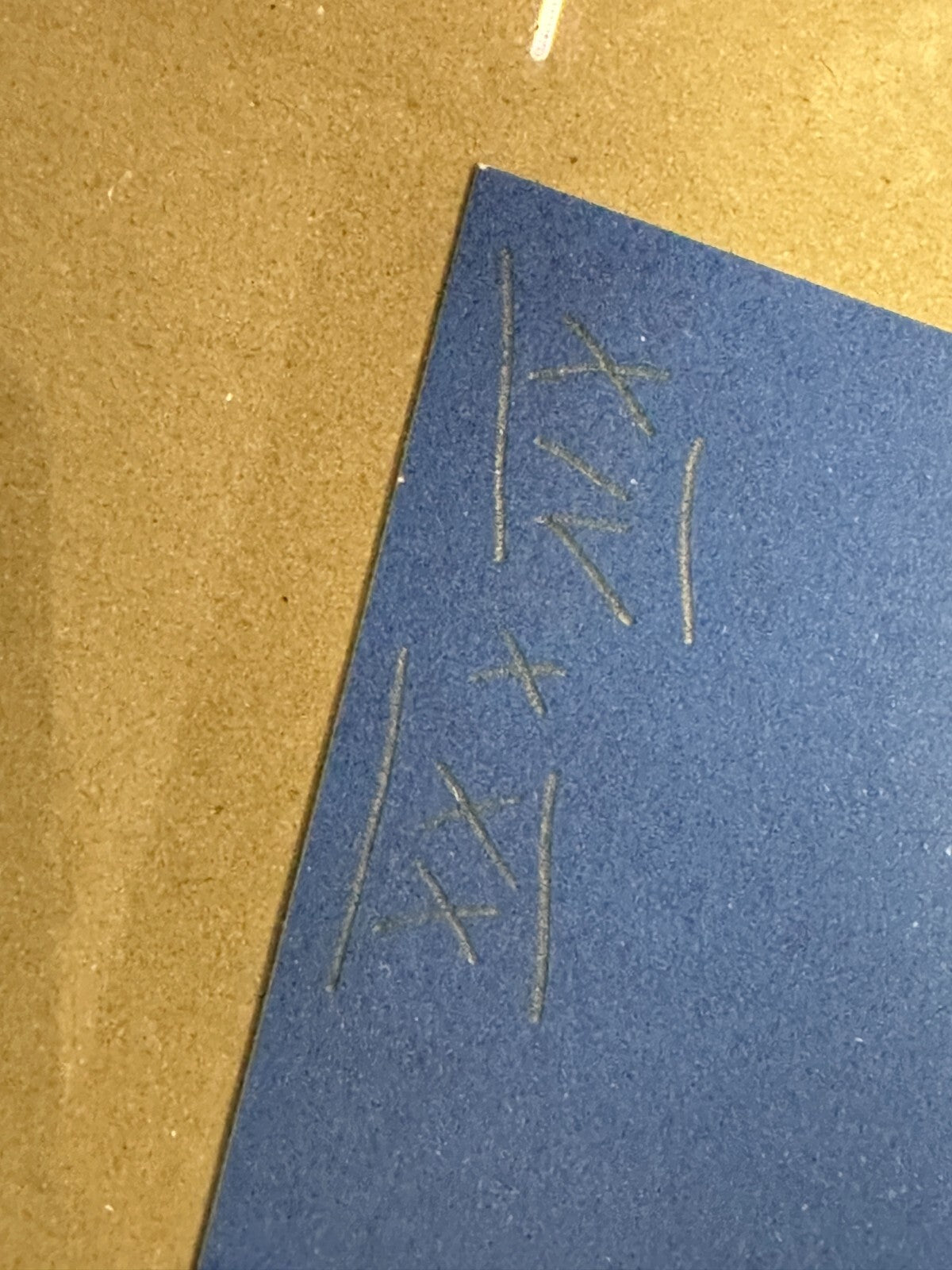 45858101
