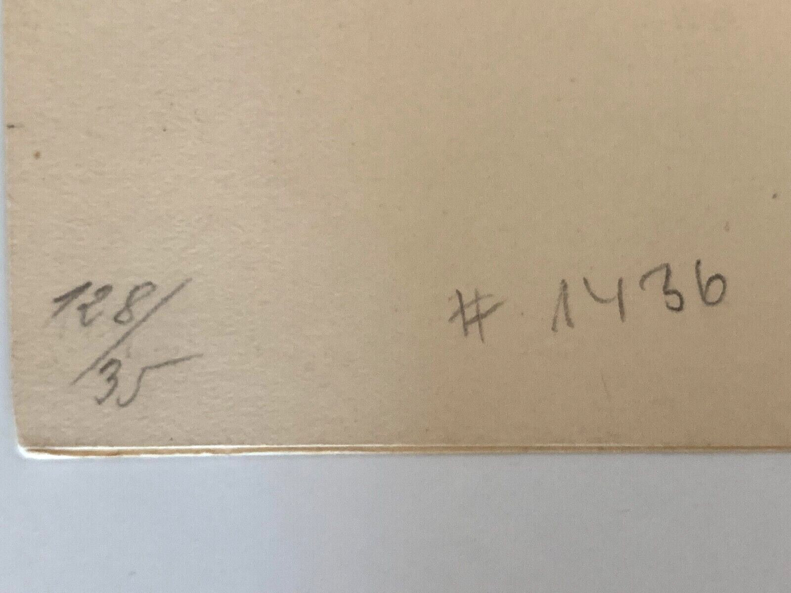 45859072