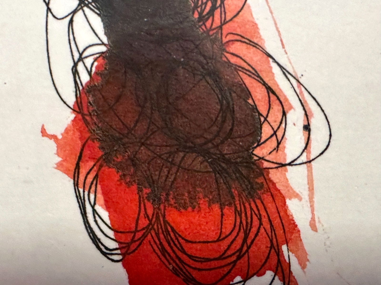 45858662