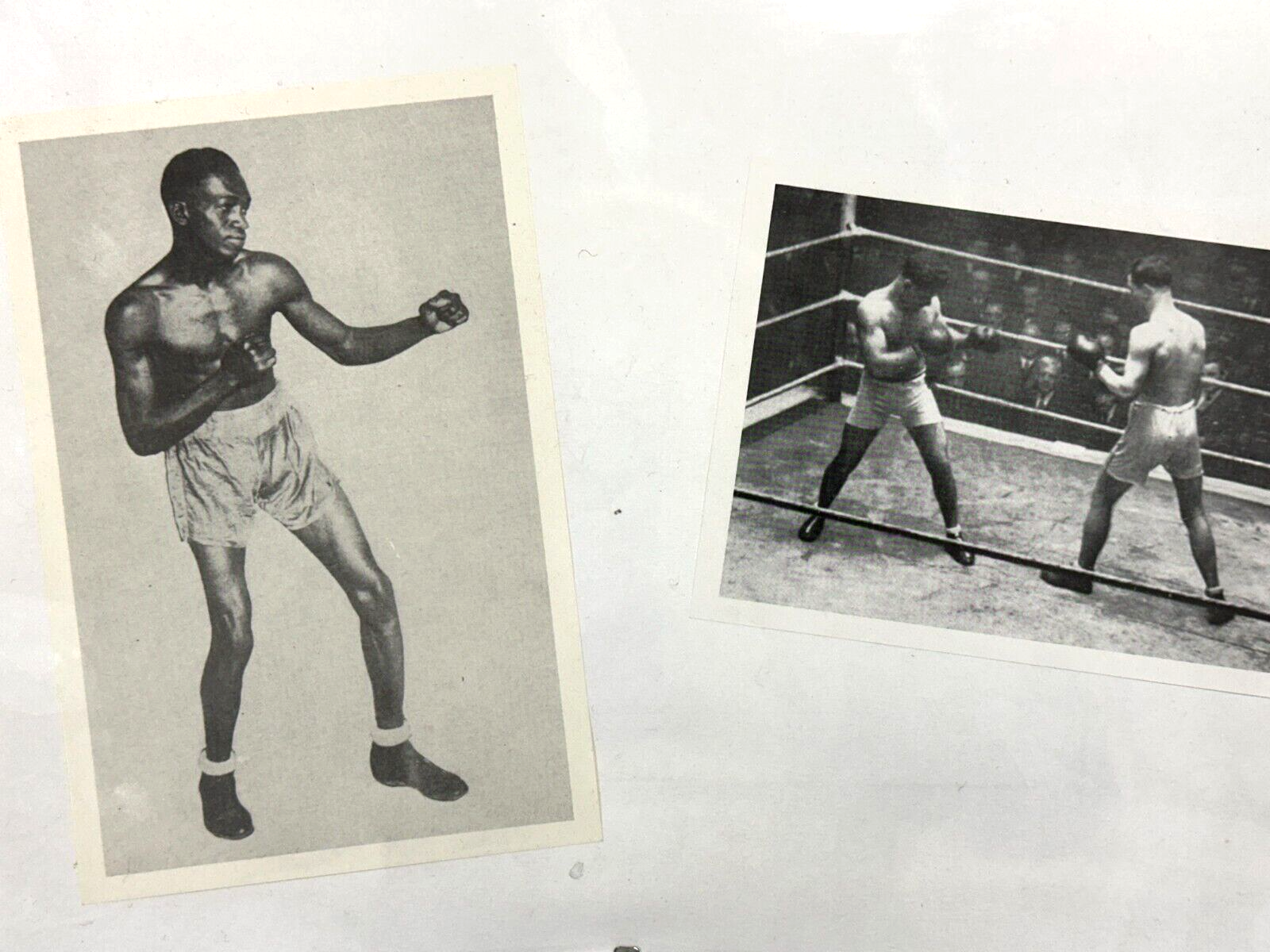 Hans Peter Feldmann 1941-2023 - Print Multiple - Boxer - 2 Bilder Fotos gerahmt1