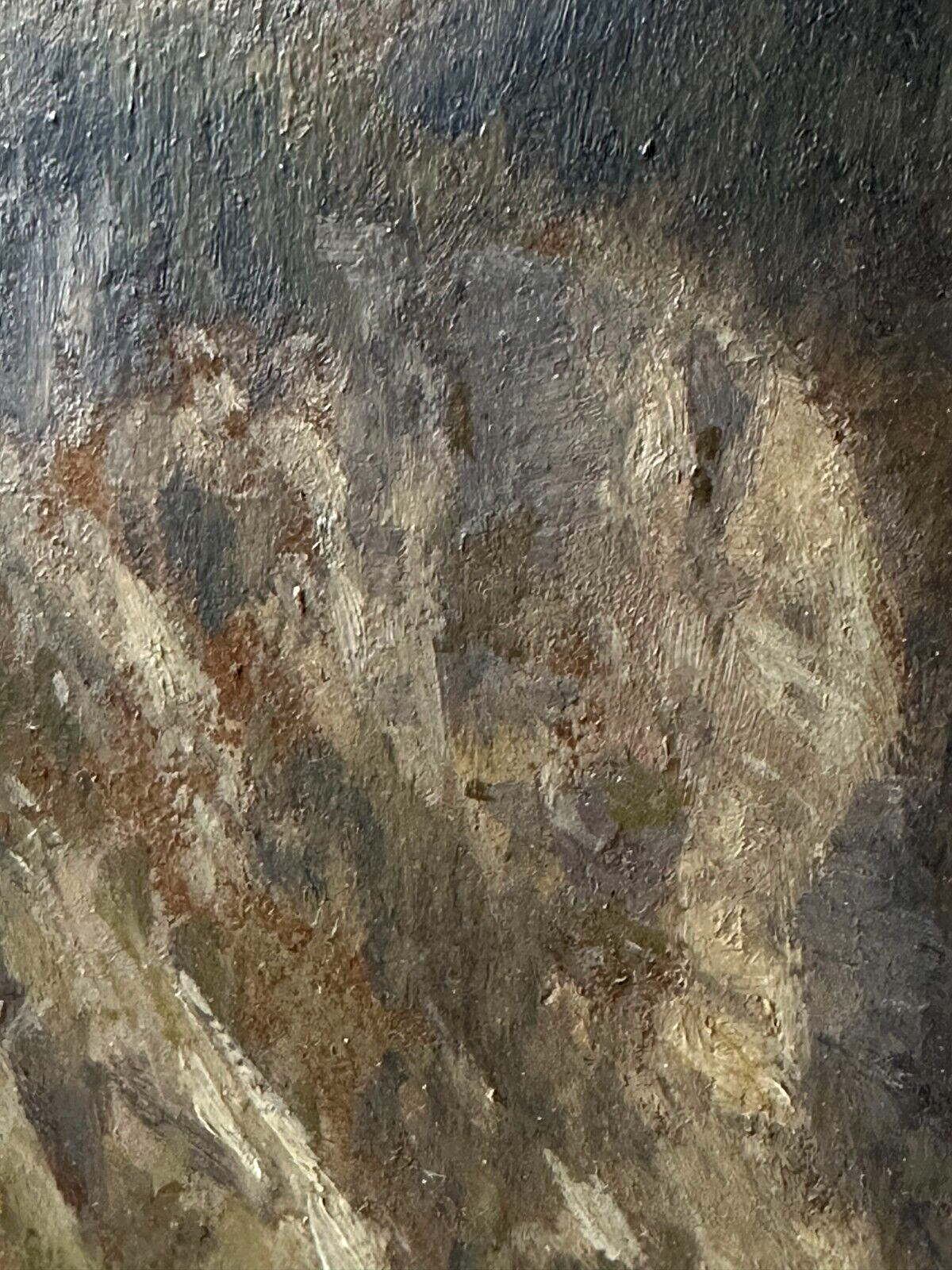 Anton Jahn 1869-? - Öl auf Karton - Gebirgs- Berglandschaft - gerahmt & signiert10
