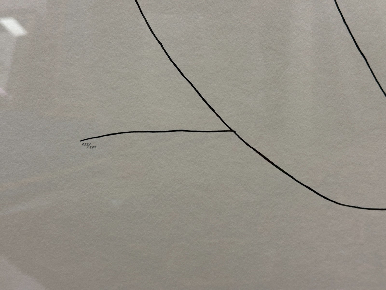 Pablo Picasso (1881–1973) – Lithografie „Eule“ - nummeriert 753/882 - gerahmt3