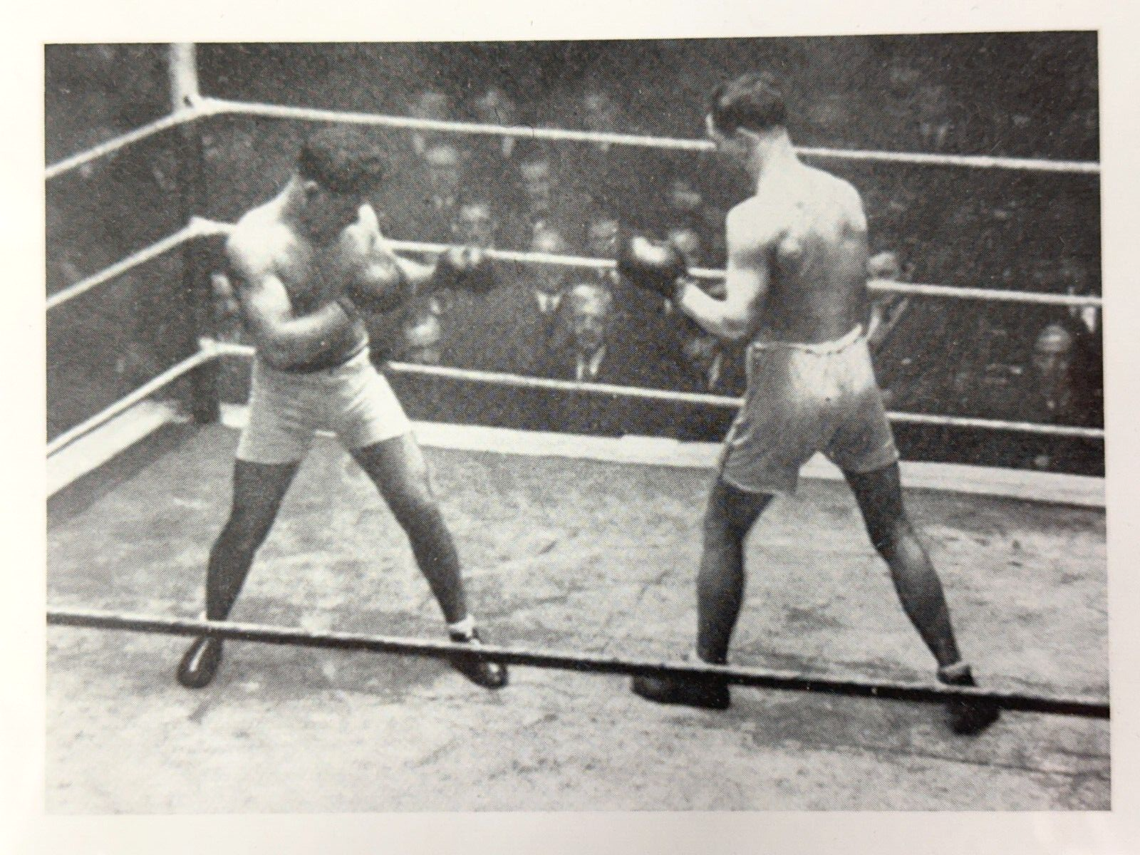 Hans Peter Feldmann 1941-2023 - Print Multiple - Boxer - 2 Bilder Fotos gerahmt3