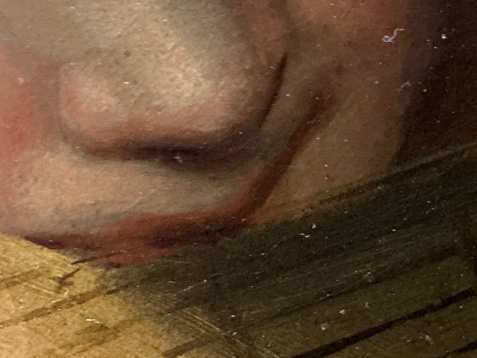 Engel mit Laute nach Rosso Fiorentino (1494-1540) – Öl auf Leinwand - 19. Jh.7