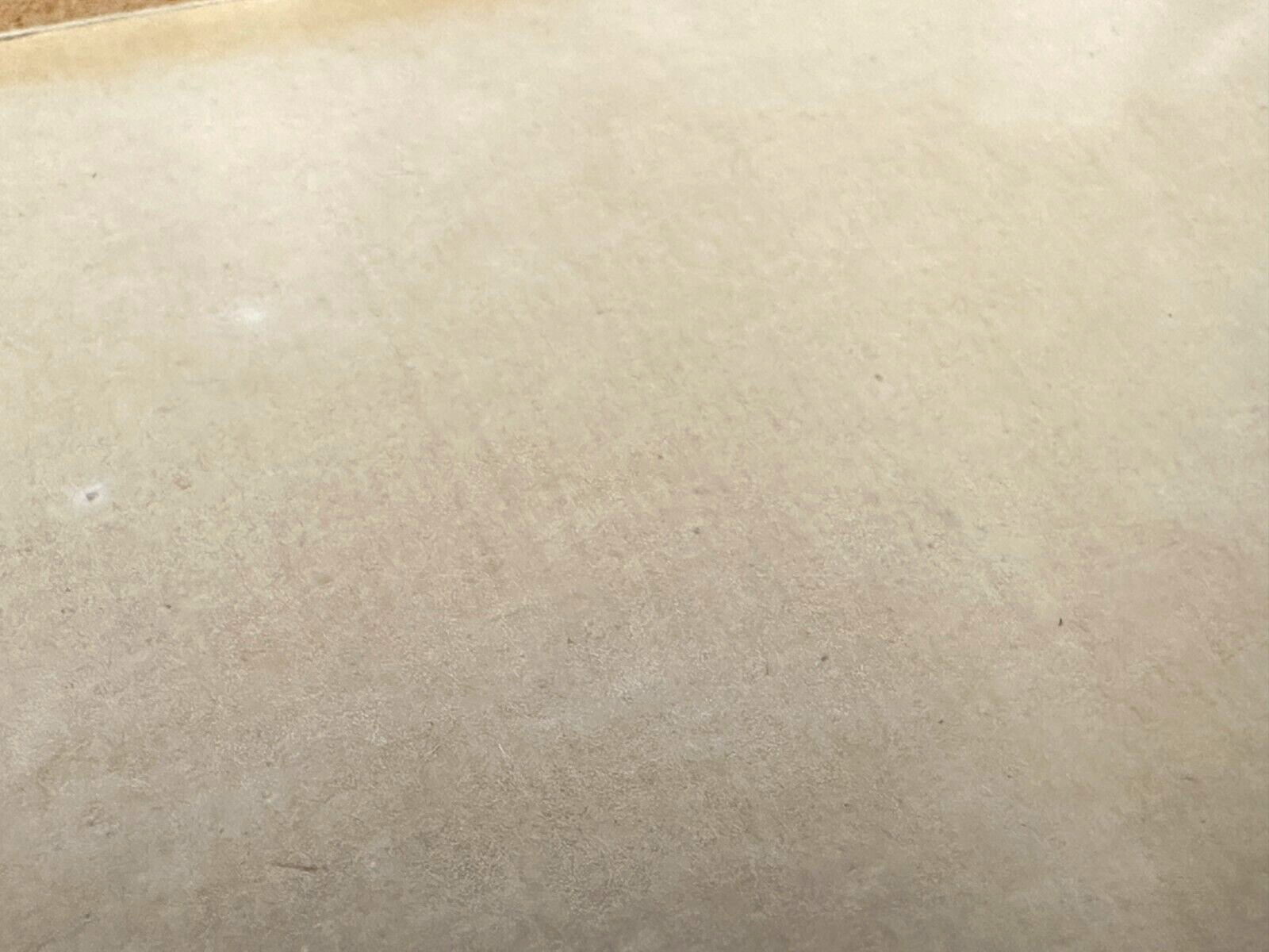 45858869
