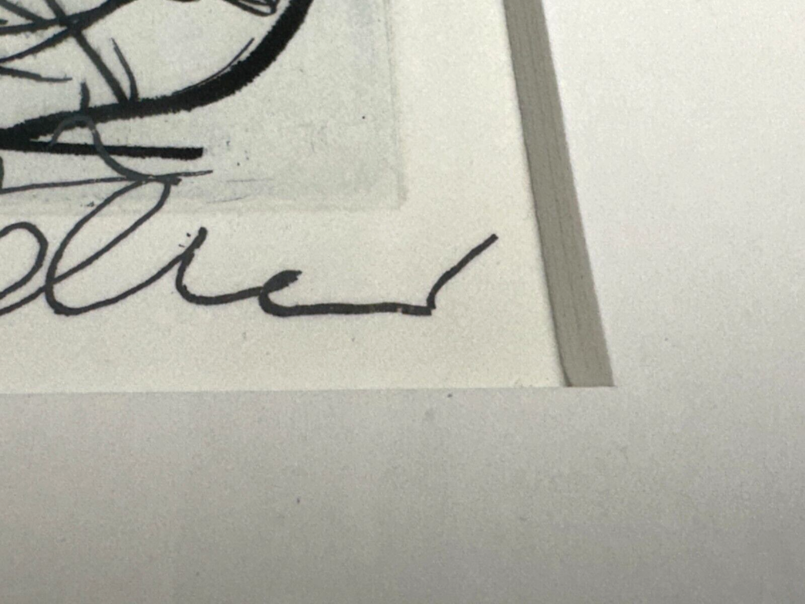 45859124