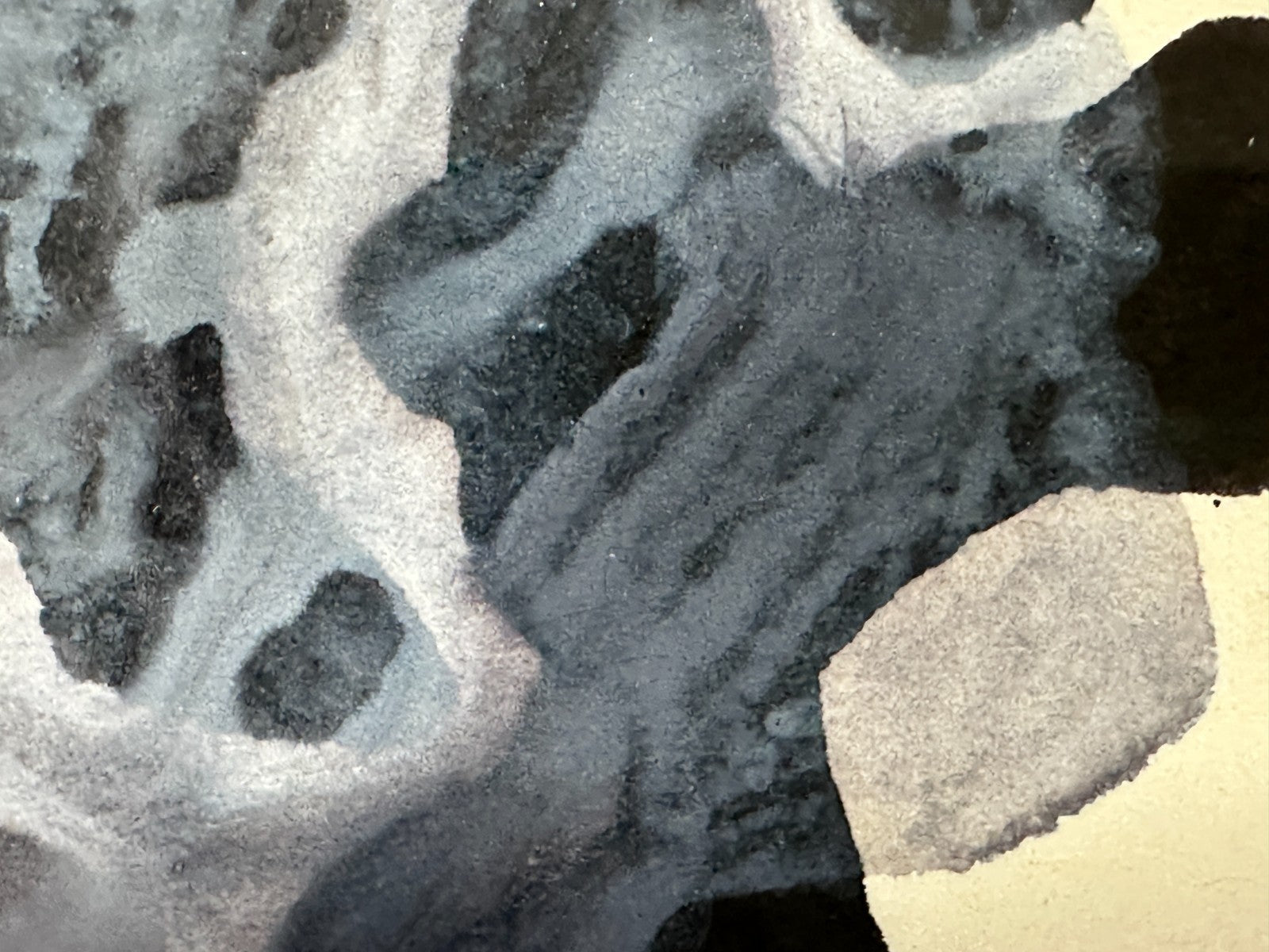 45859050