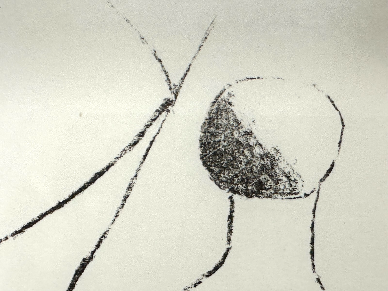 Julius Bissier (1893–1965) - sign. Lithografie – Stillleben modern - gerahmt3