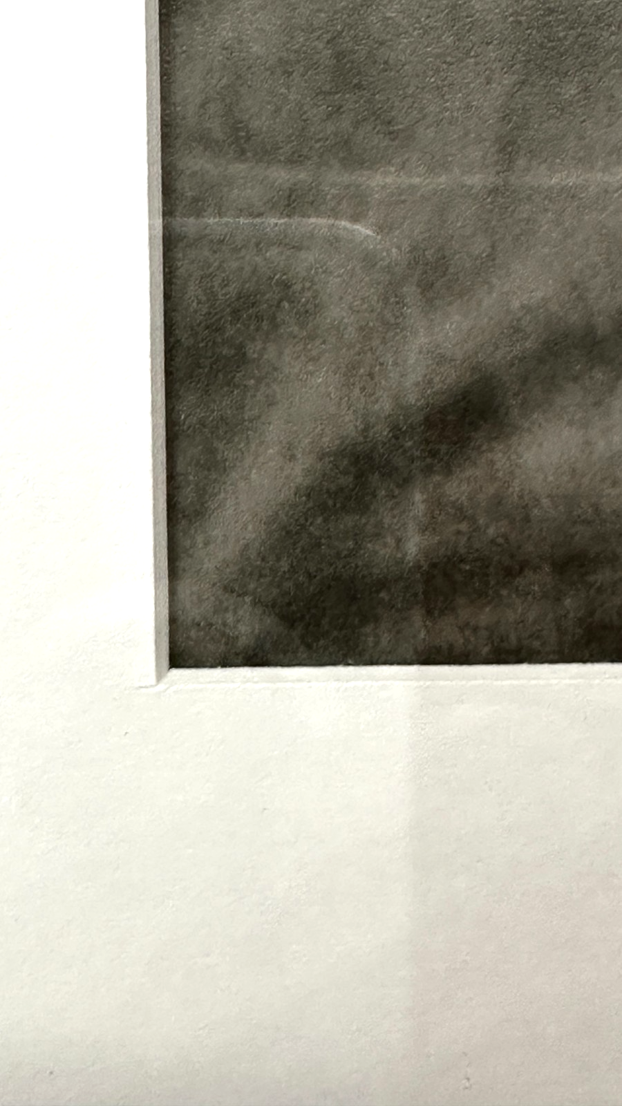 Abi Shek – Linolschnitt - „Delfine/Wale“ - signiert & nummeriert 49/55, gerahmt6