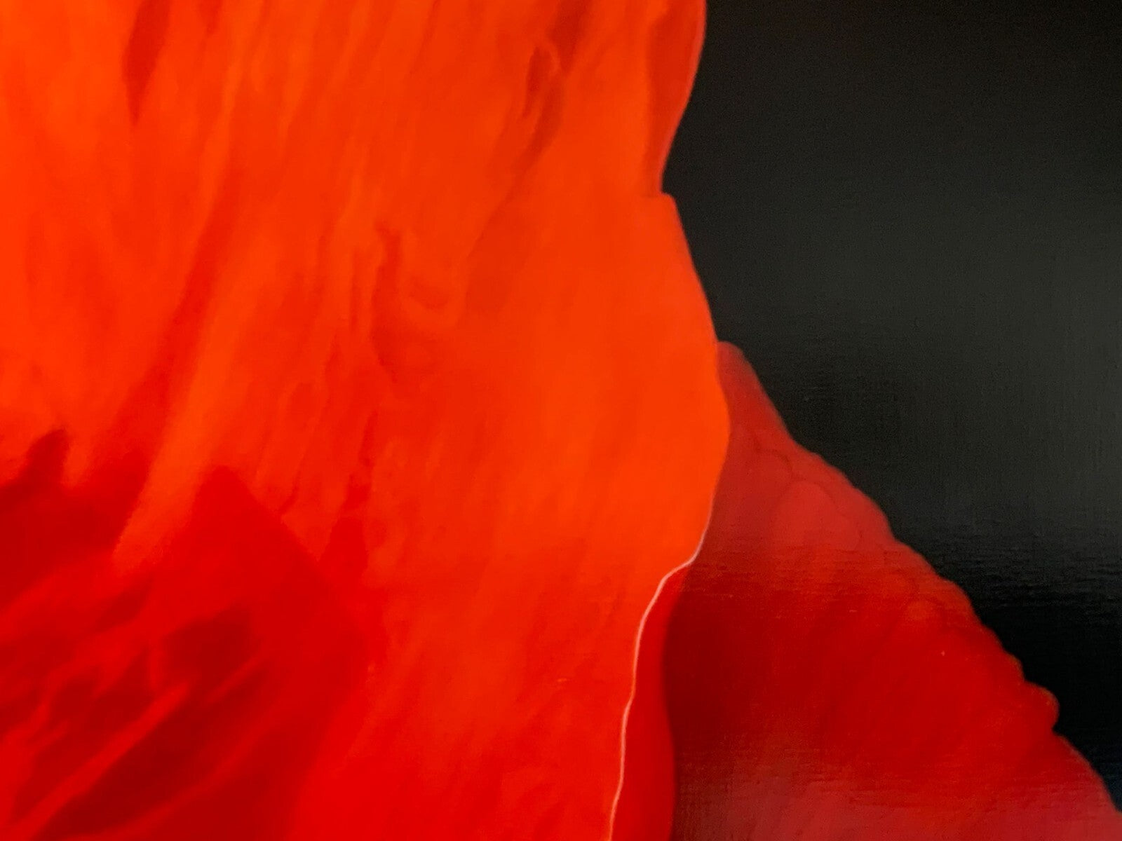 Carlo Ferrari - XL Öl auf Leinwand - Composizione in Rosso - signiert6