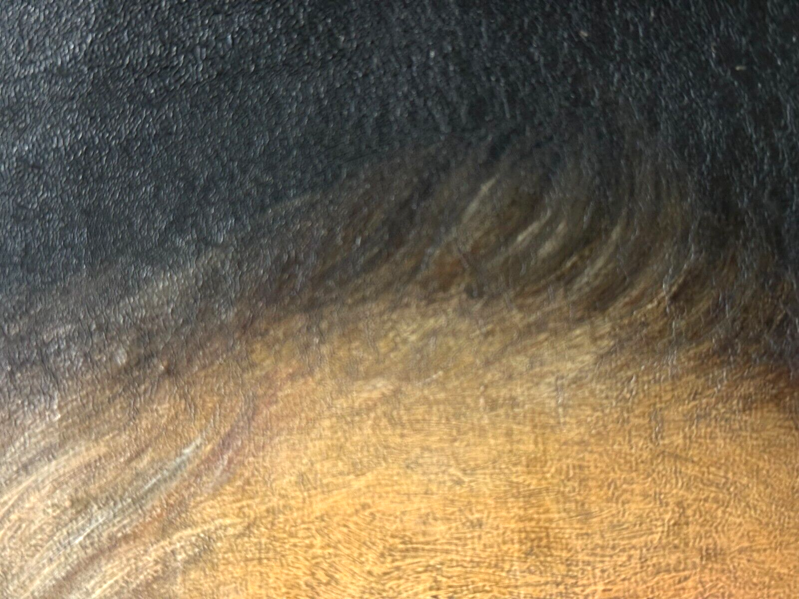45858197
