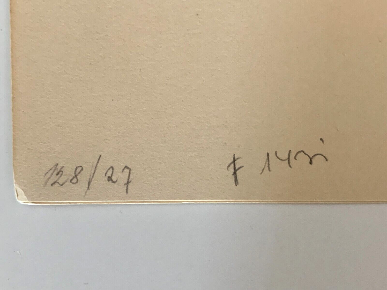 45859070
