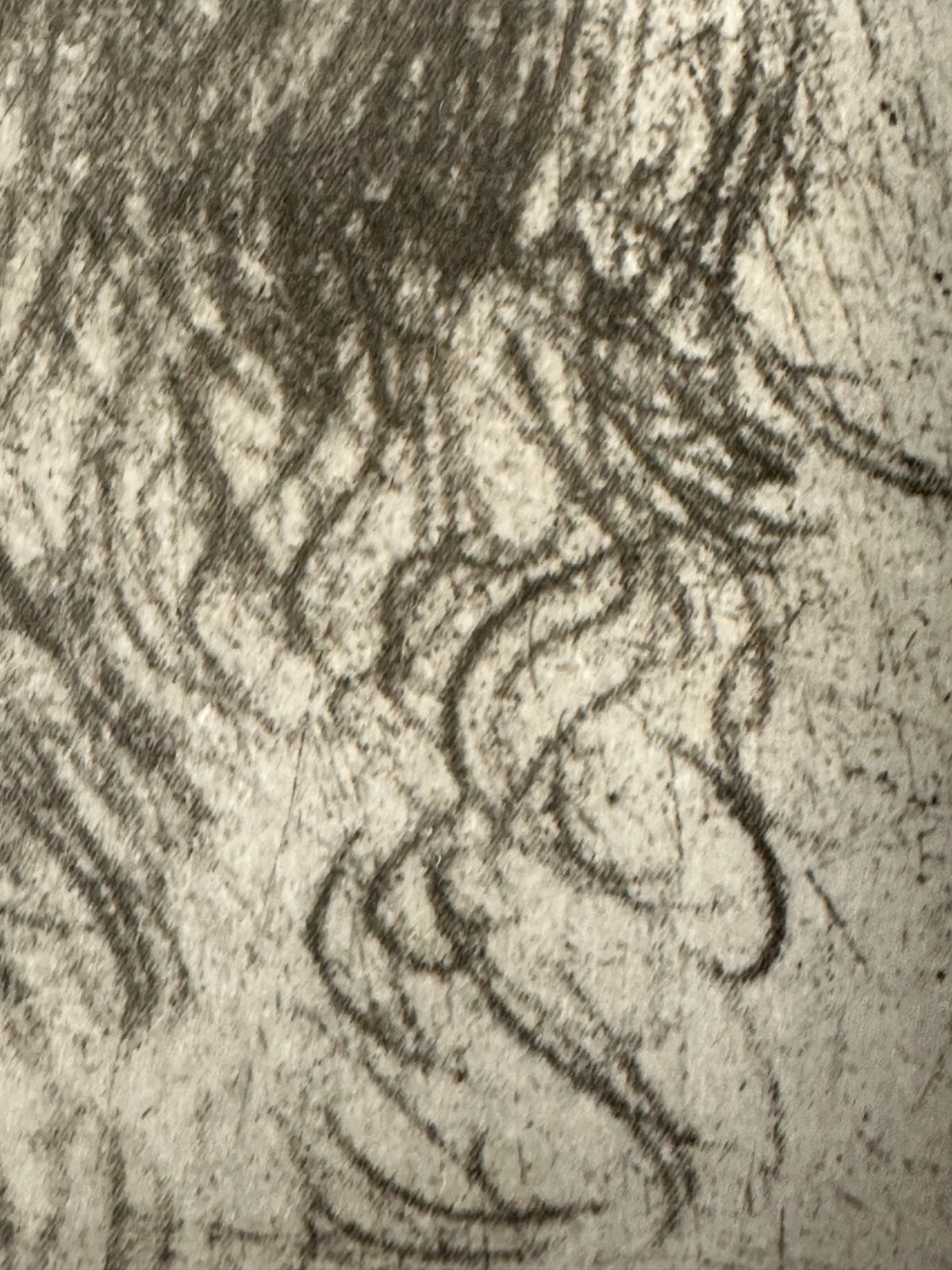 Hermann Struck 1846-1944 - Radierung 'Alter Jude aus Jaffa' - gerahmt Glas6