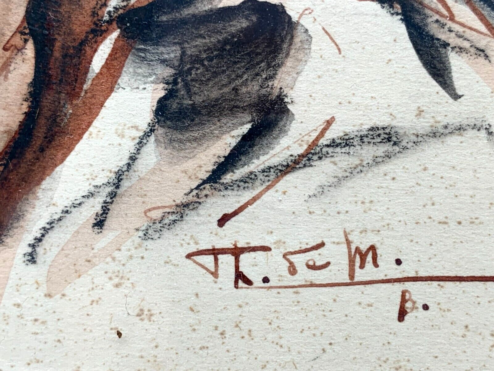 45858364