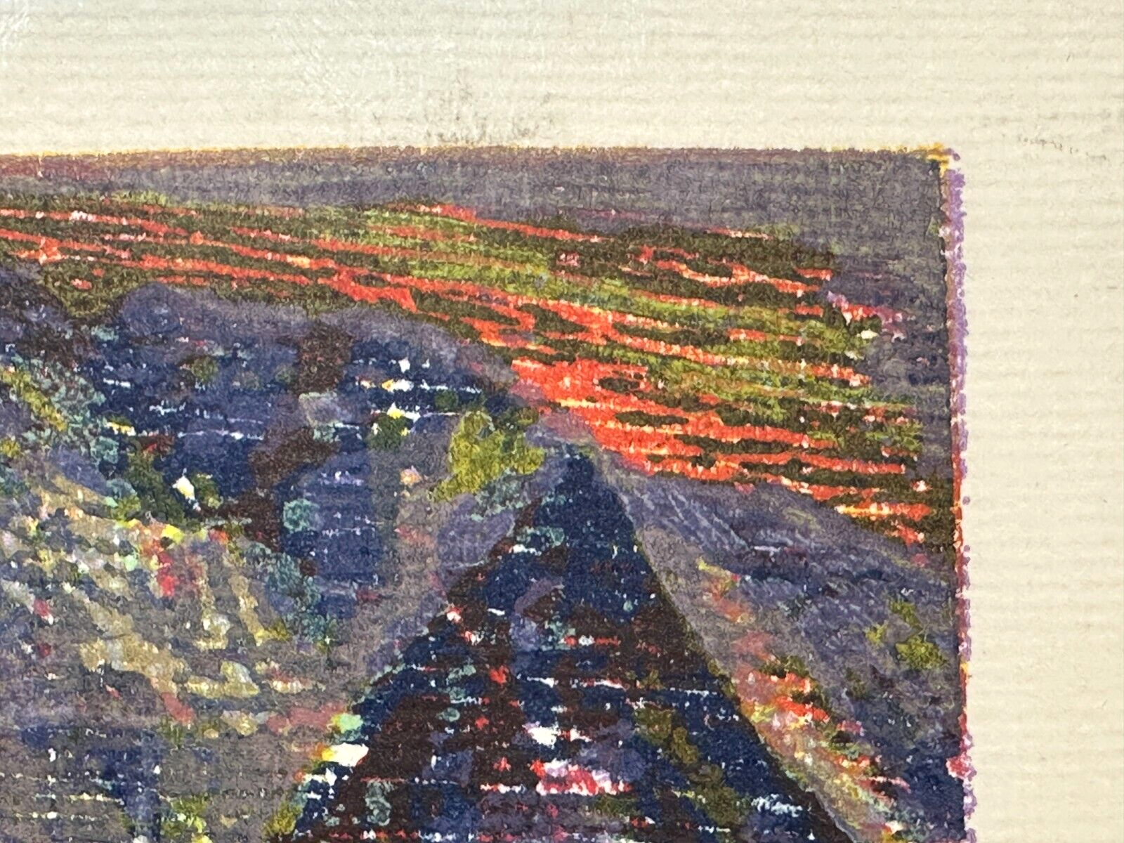 45858231