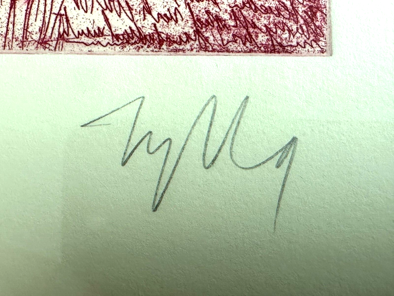 45858821