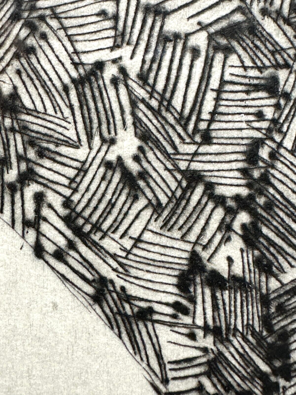 45858102