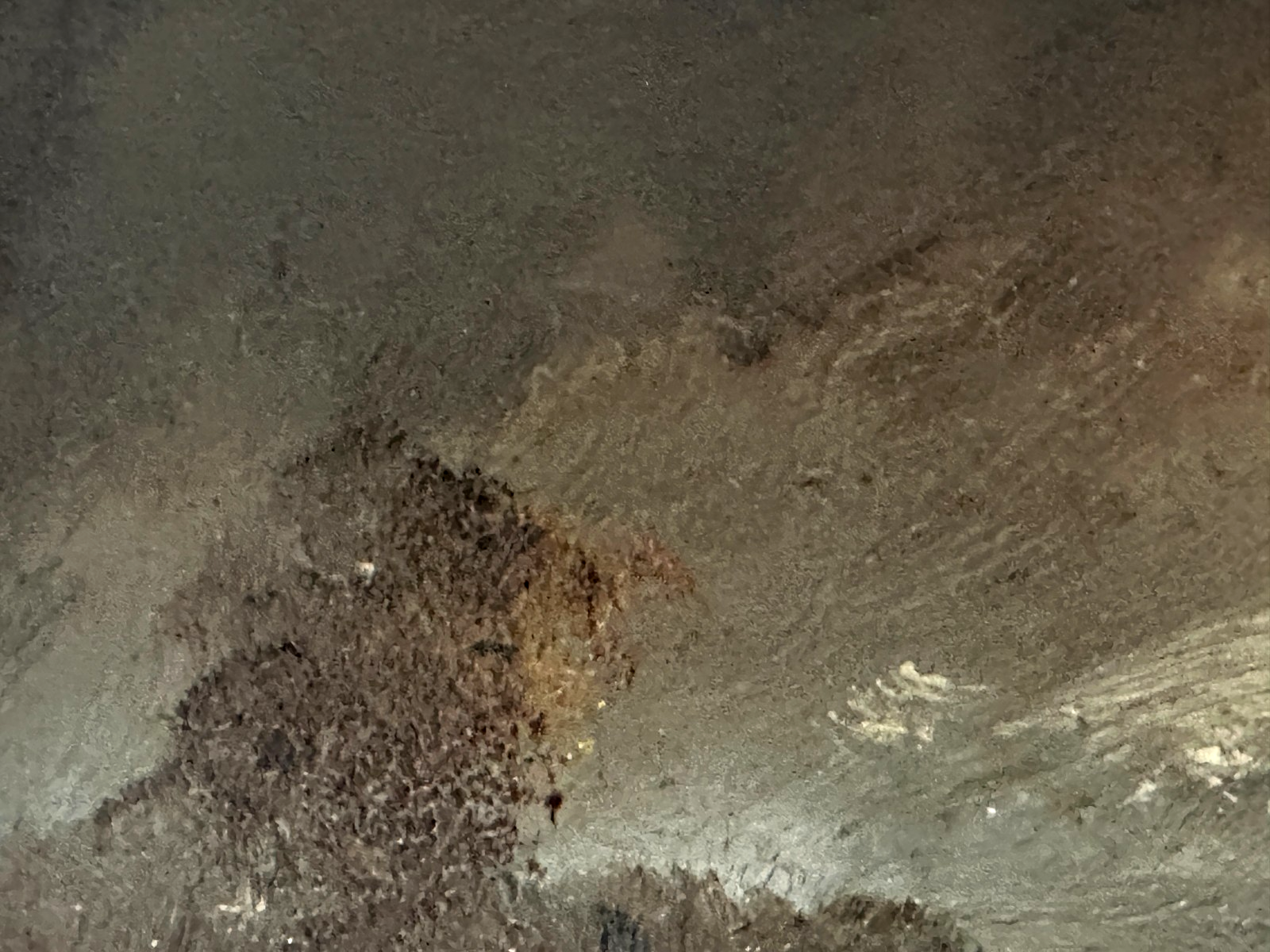 Heinrich Berger - Landschaftsgemälde - Öl auf Platte - signiert - gerahmt5