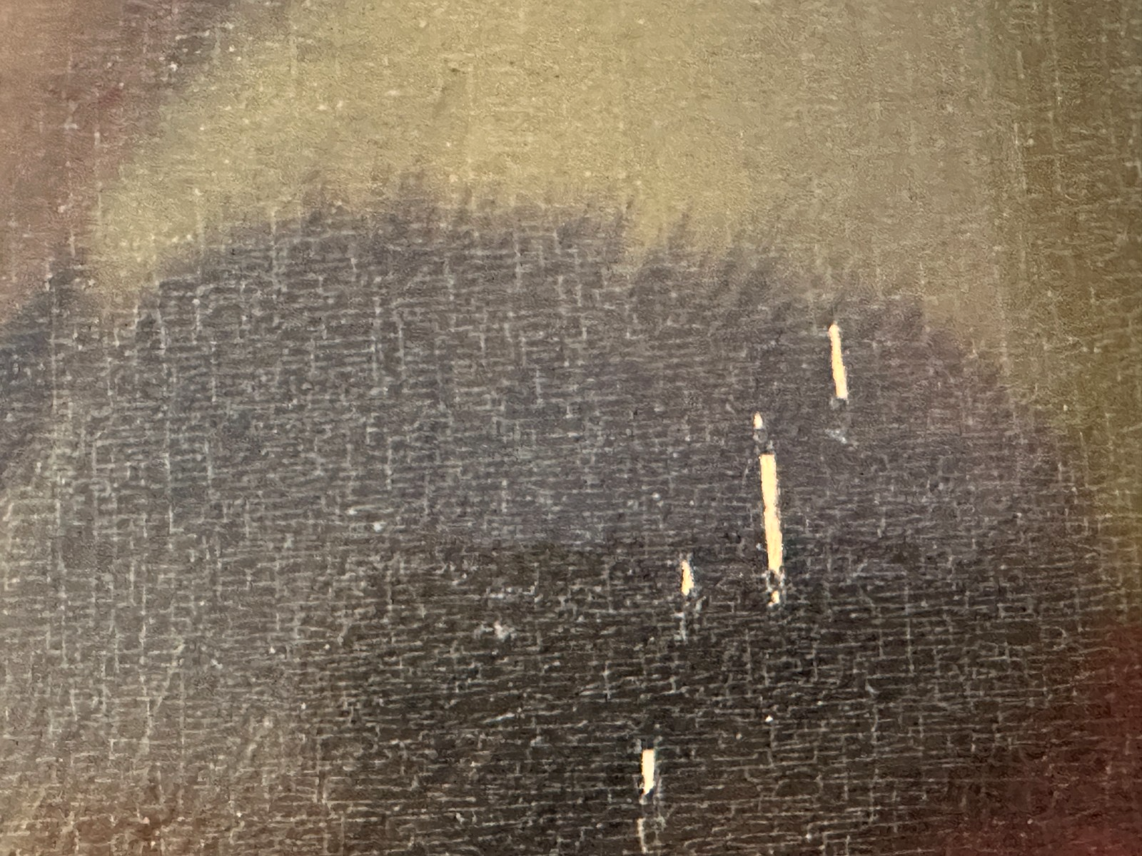 45858217