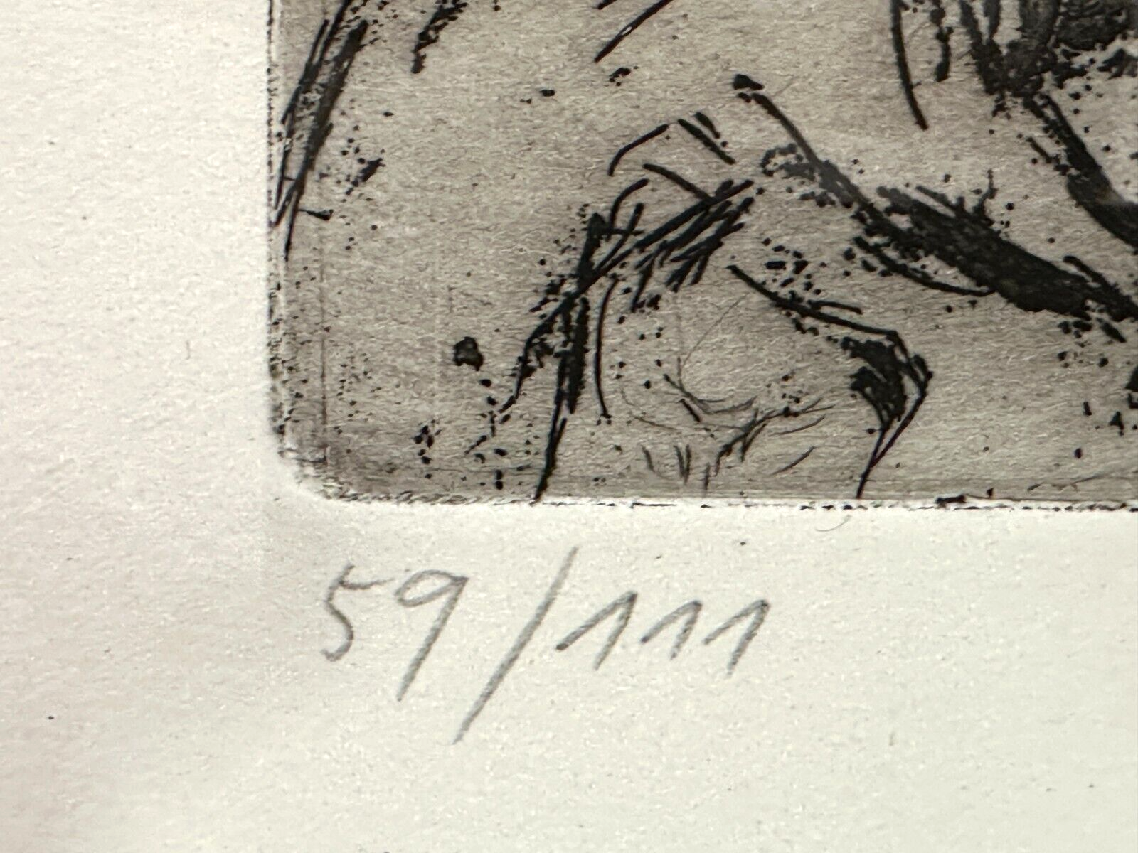 45858100