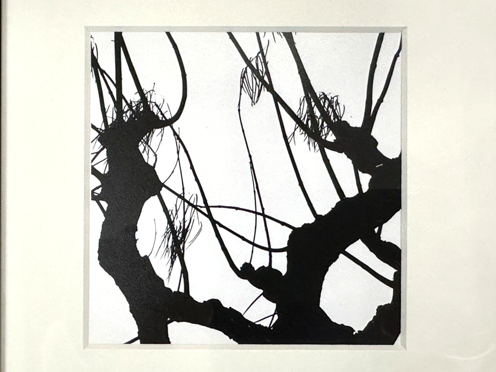 Lorenzo Cicconi Massi - Fotografie S/W Mixed Media - signiert nummeriert2
