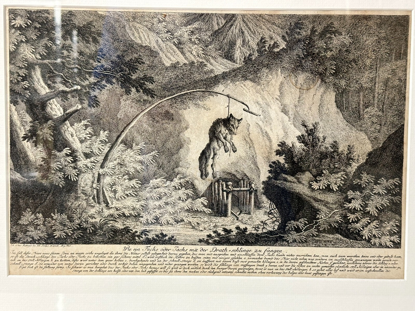 Johann Elias Ridinger 1698-1767 - Kupferstich Augsburg um 1750 - Schlingenfalle1