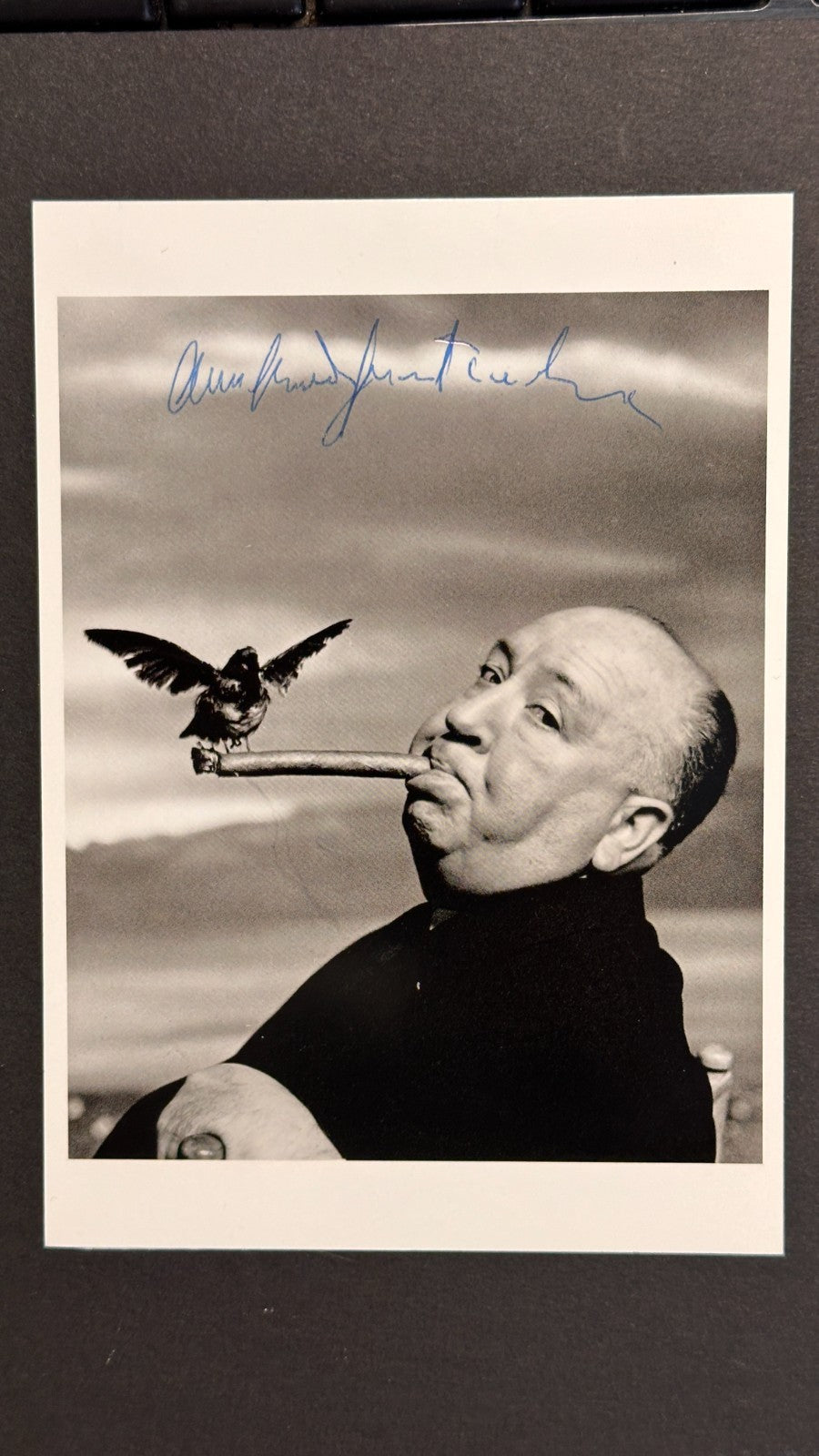 Original signierte Fotografie von Alfred Hitchcock – „The Birds“ / Die Vögel4
