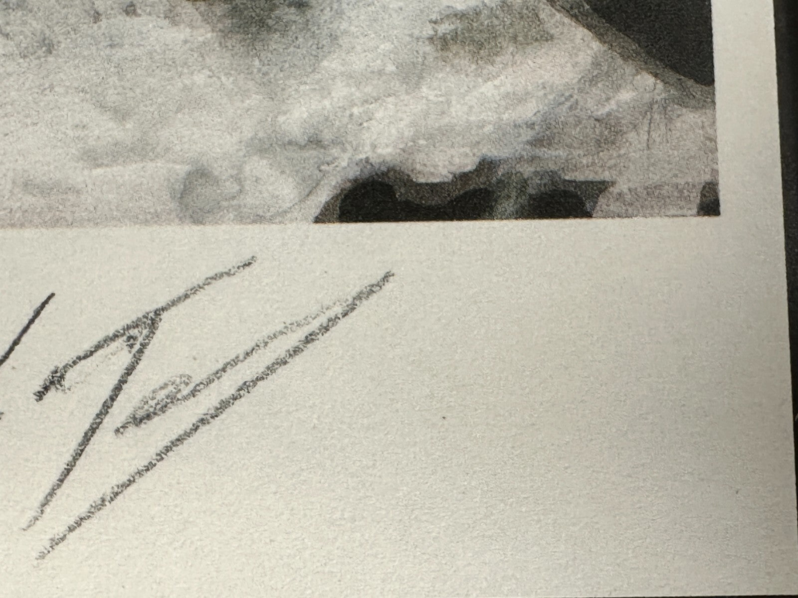 Luc Tuymans - Offset Print - 'Ex Libris' - nummeriert 52/200 signiert gerahmt5
