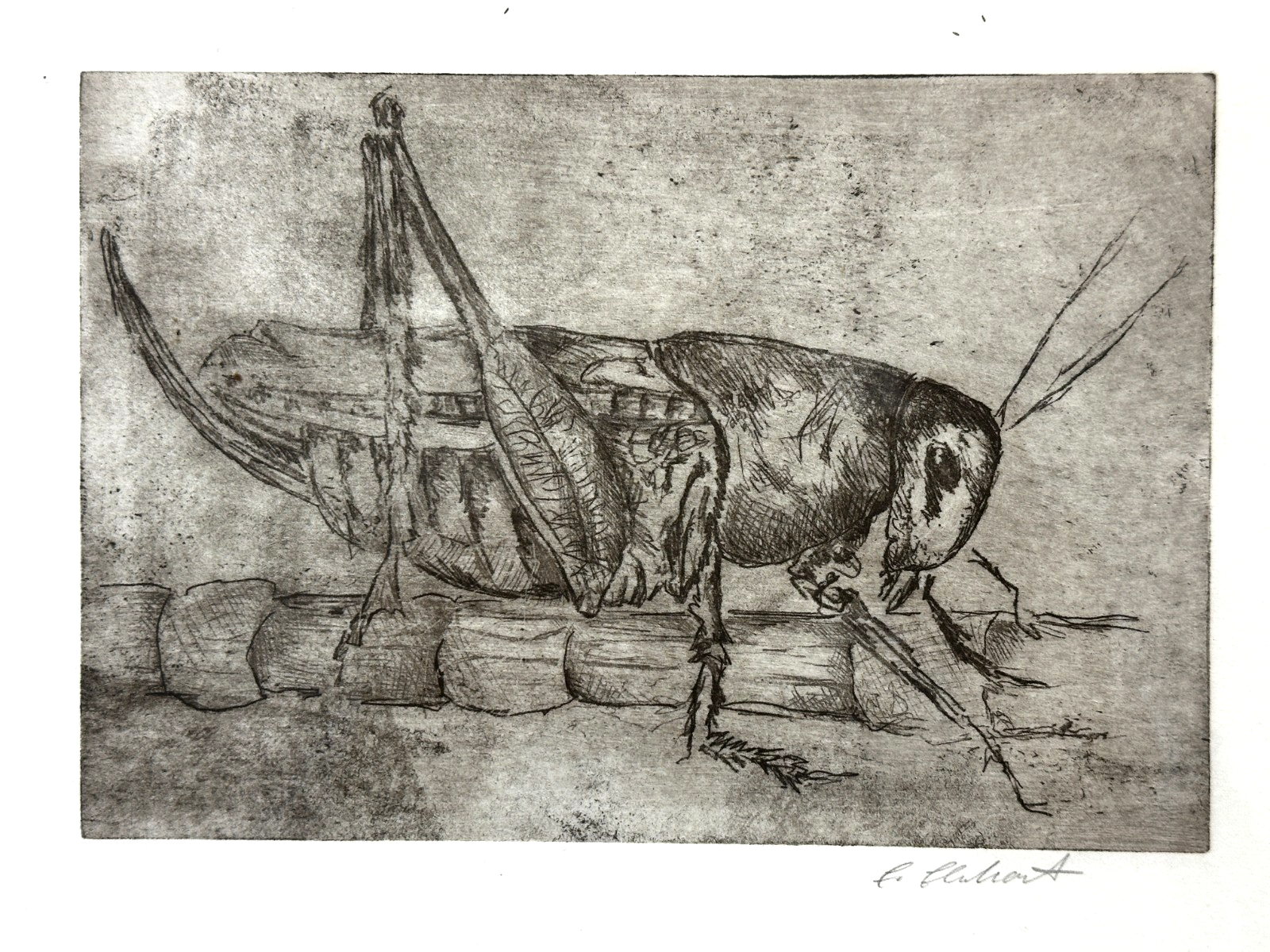 Aquatinta-Radierung - Insektenstudie mit zeichnerischer Überarbeitung - signiert1