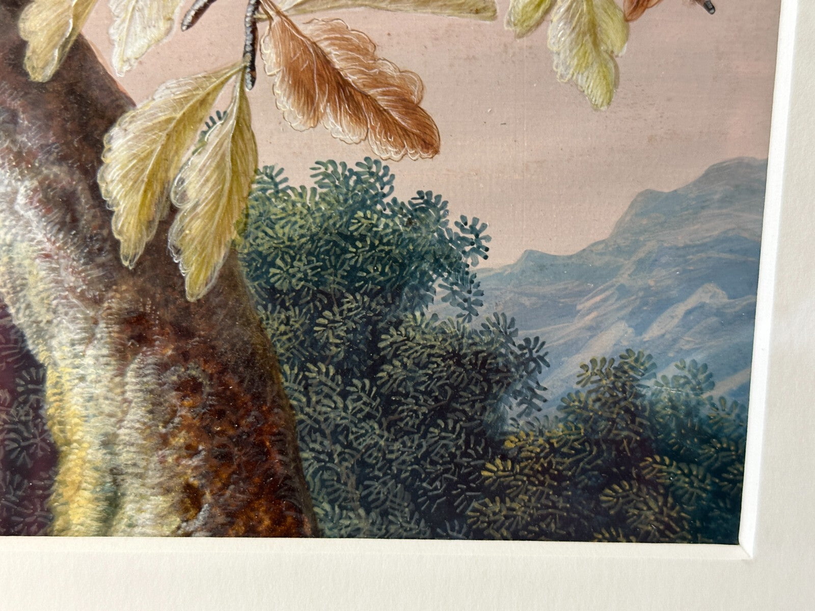 Christoph Ludwig Agricola 1665-1724 - Singvogel auf Ast - Gouache auf Pergament5